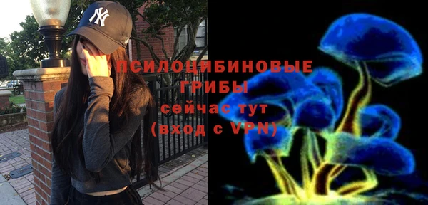 spice Абинск