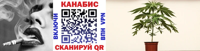 Марихуана план  где купить   shop клад  Хилок 